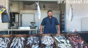 تبدأ من 80 جنيهاً.. أسعار الأسماك في مطروح خلال تعاملات الأربعاء الأخير من 2025